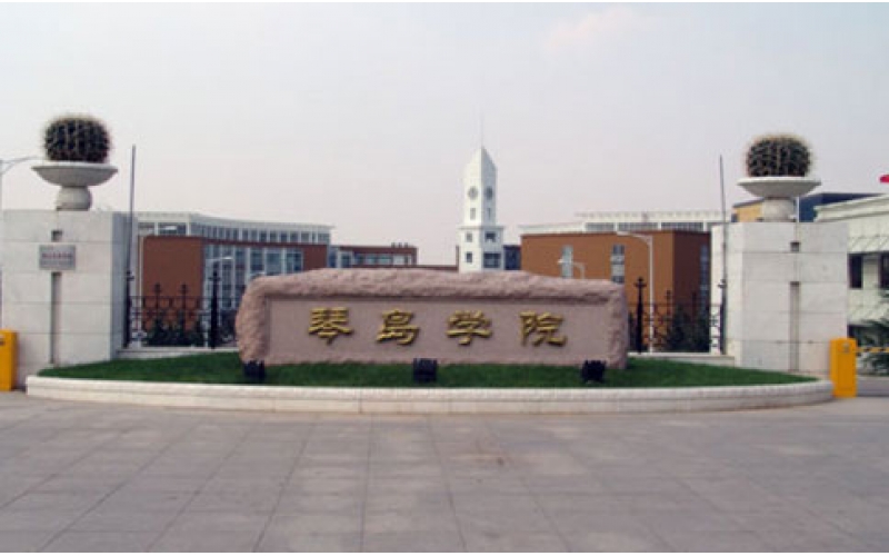 理工大学琴岛学院清洗